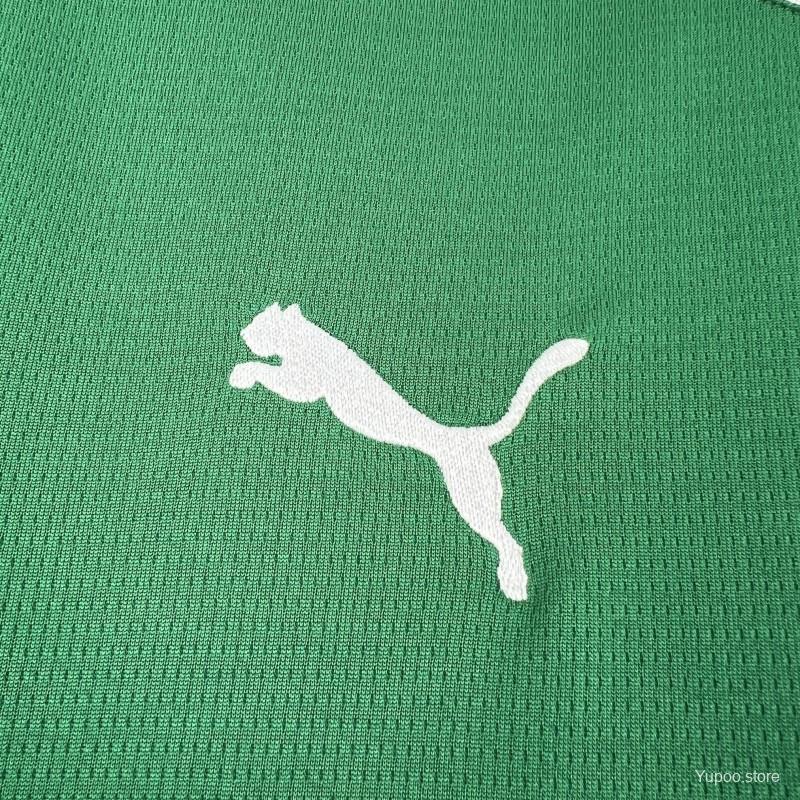 Camisa Palmeiras 2026